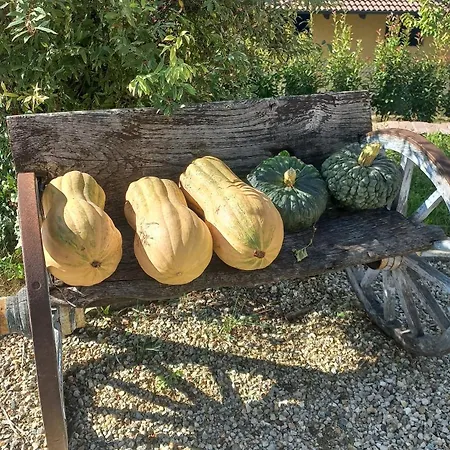 Gelsomino - Romantico In In Monferrato